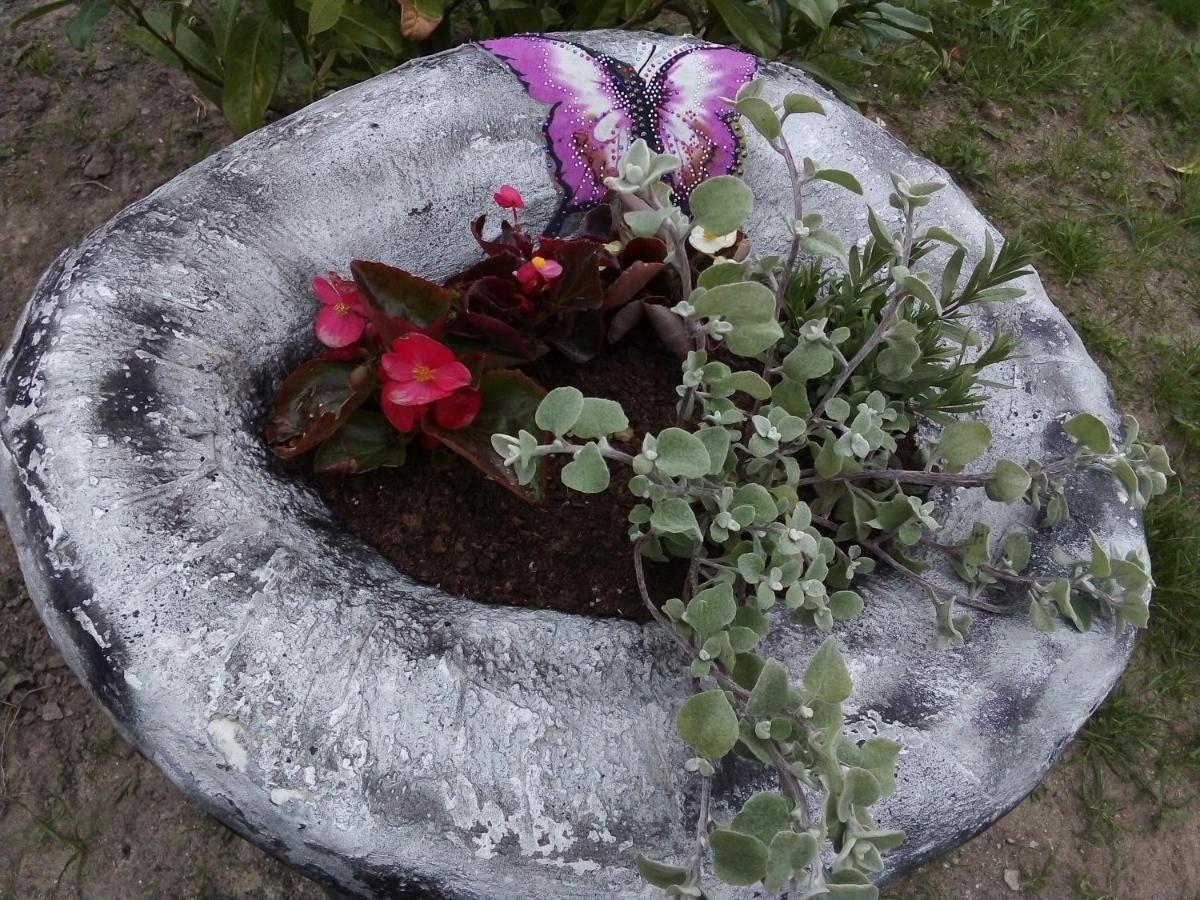 MożeMorze? Ośrodek Domków Letniskowych Chłopy Exterior foto